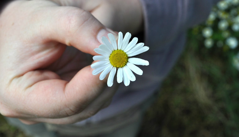 gratitude-lifestyle-practice