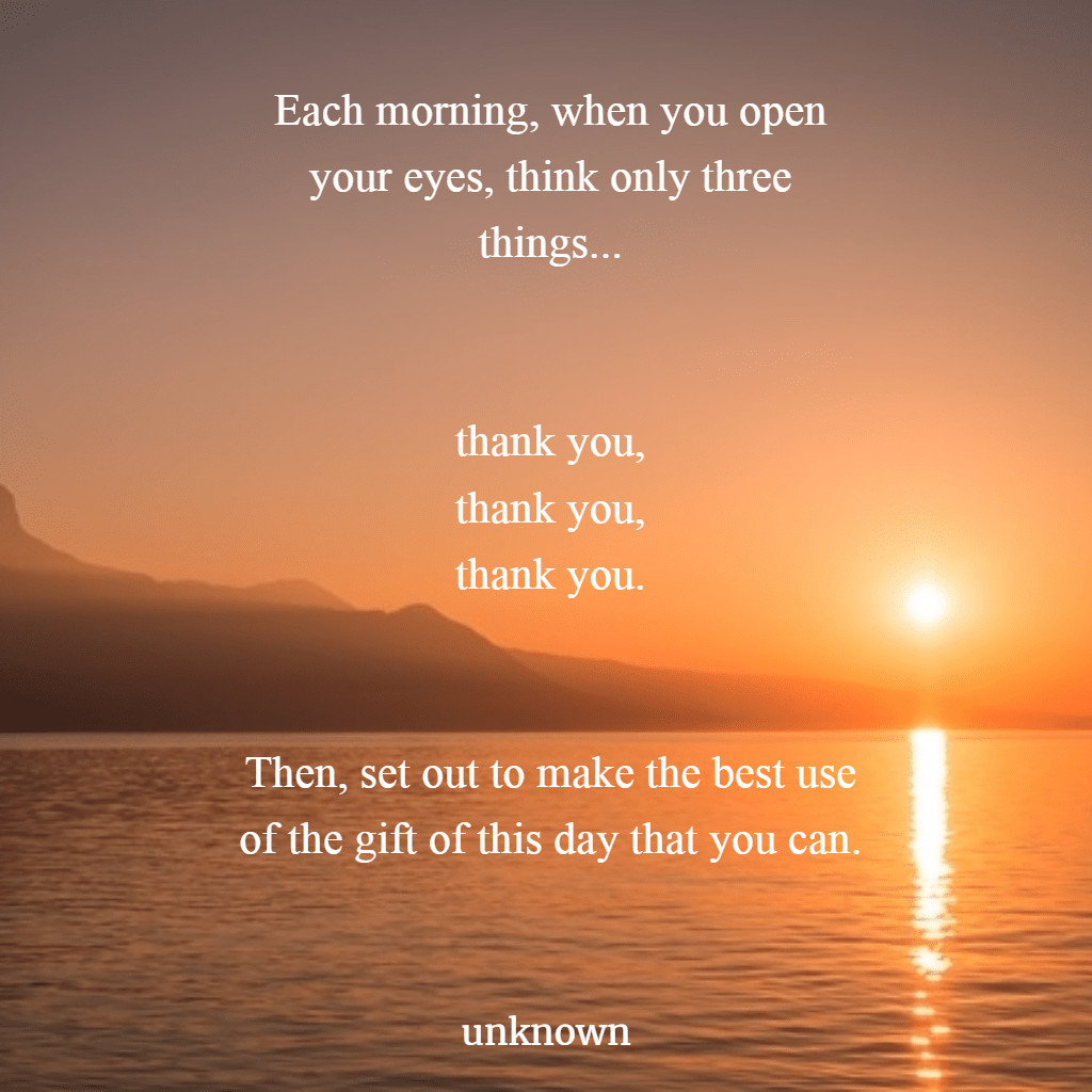 13575779_746378522172102_8638797979915077345_o