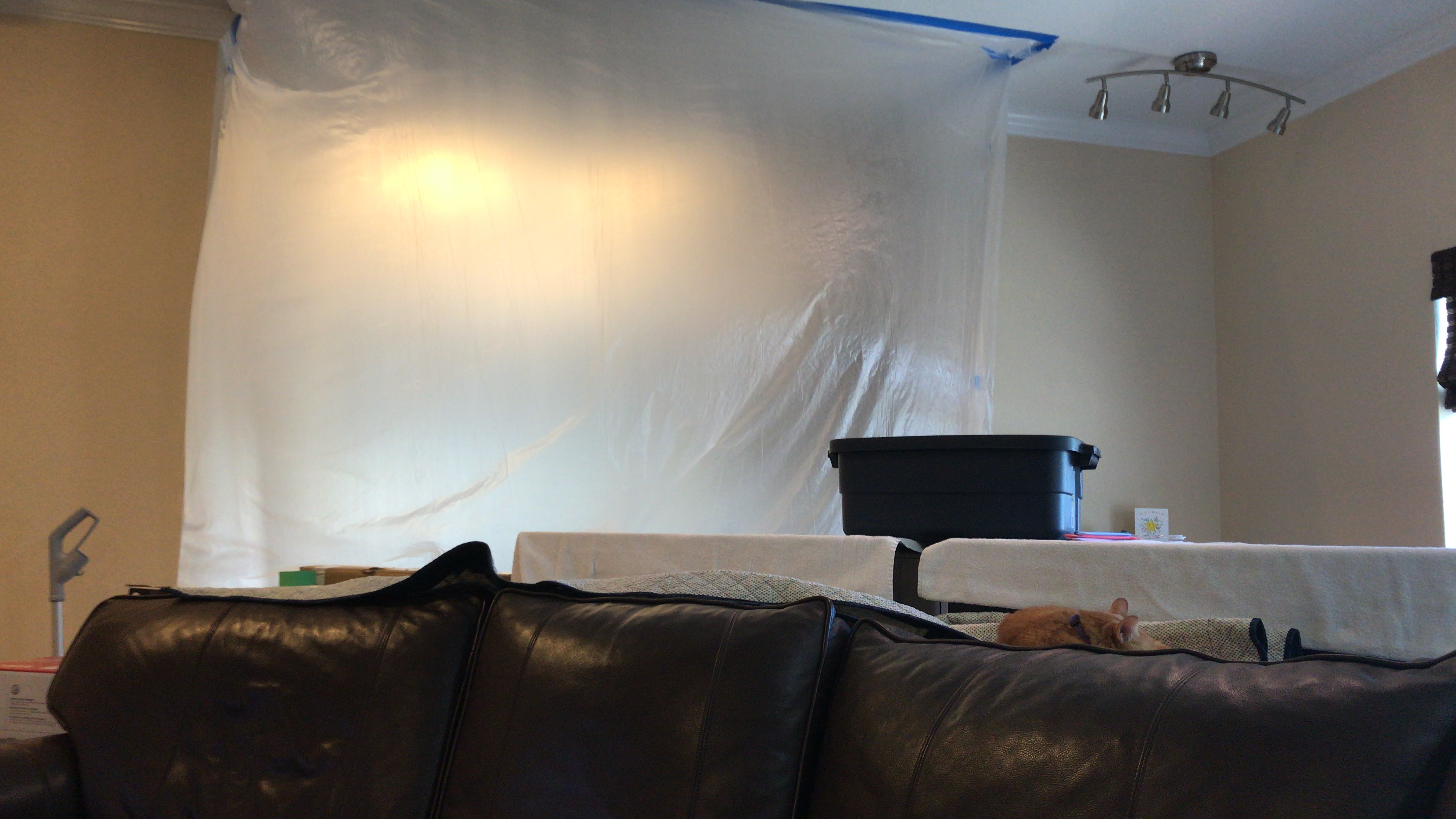 64C20F1F-B068-434C-B402-EAA3A994B4AD