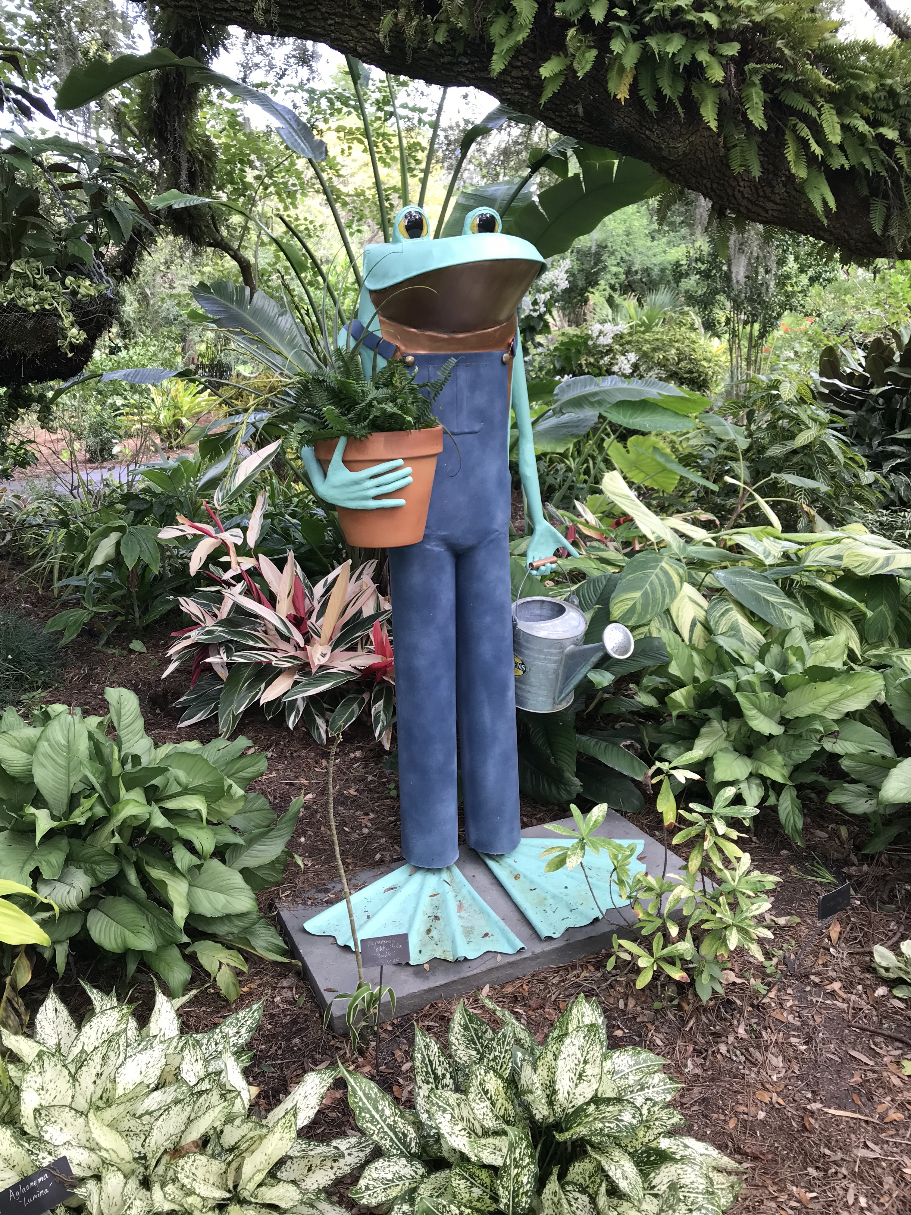 aTsjxATJSRagz9IeonZB4A