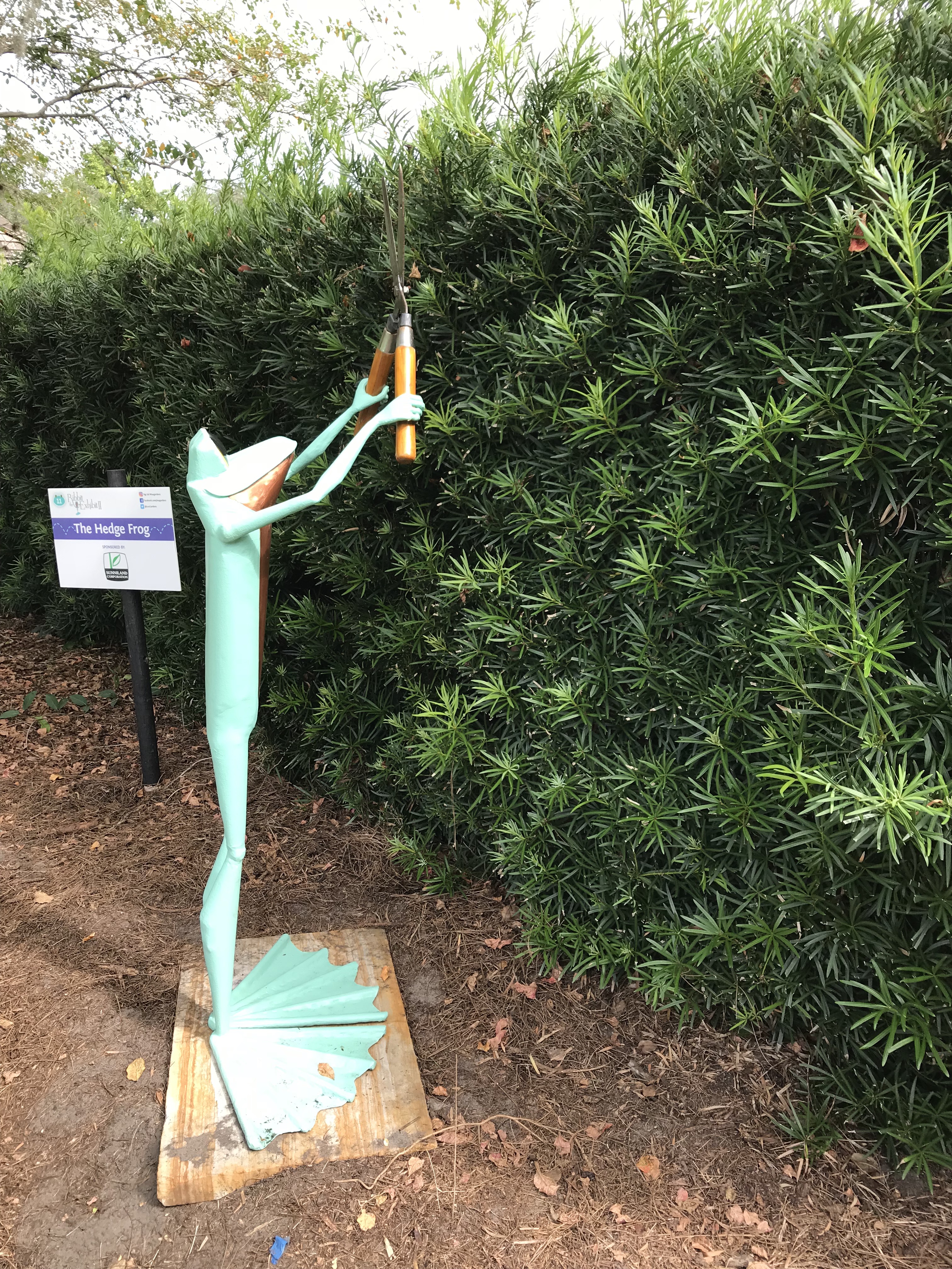 WEgM7EQ9TYeZwpk6OwtMXQ